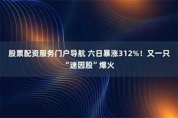 股票配资服务门户导航 六日暴涨312%！又一只“迷因股”爆火